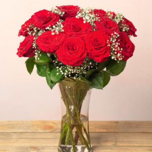 12 Red Roses & Gypsophila