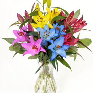 Rainbow Lilies