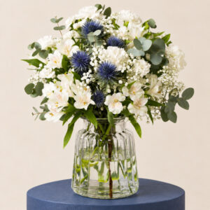 Winter Night Luxe